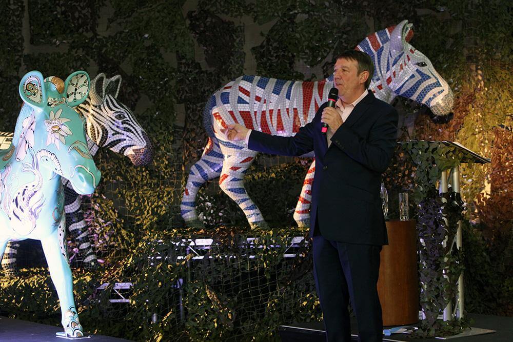 Zebra auction 03